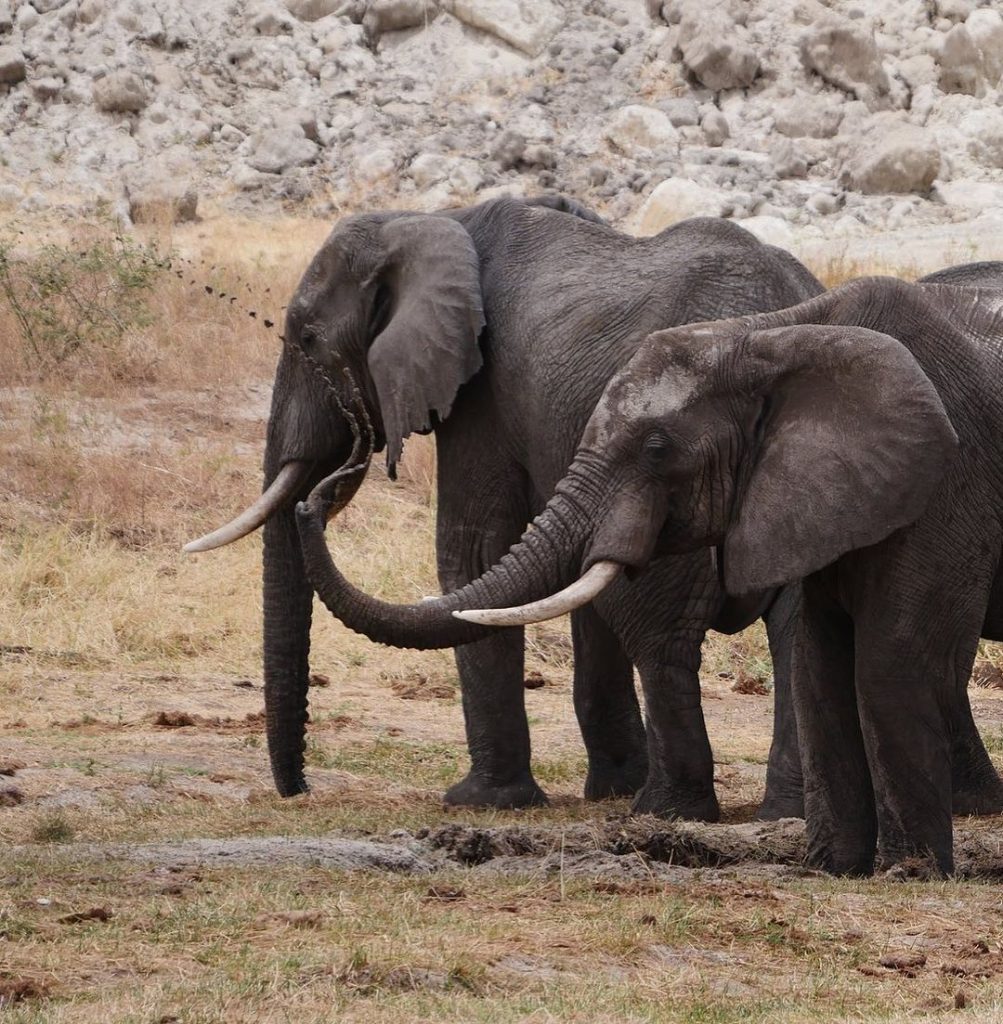 Tarangire National Park