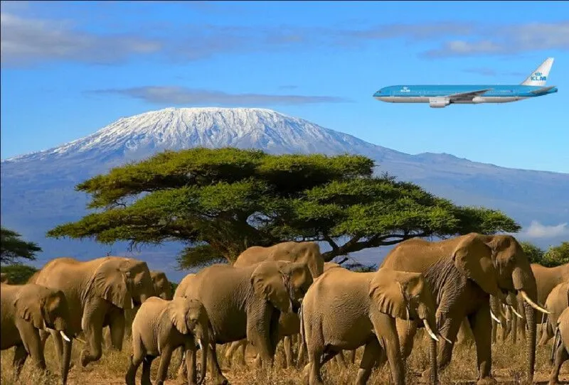 KILIMANJARO NATIONAL PARK