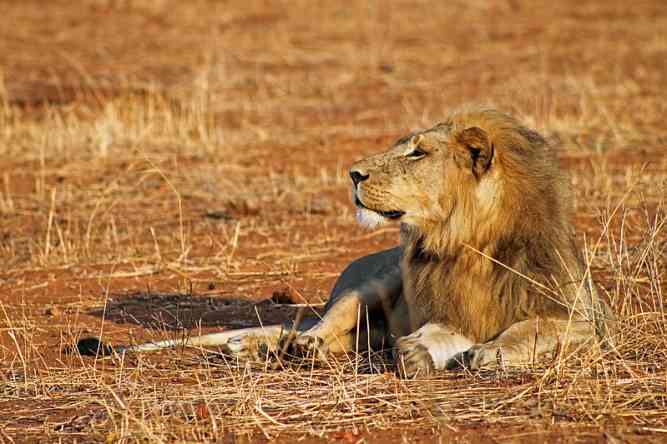 7 DAYS TANZANIA PRIVATE SAFARI