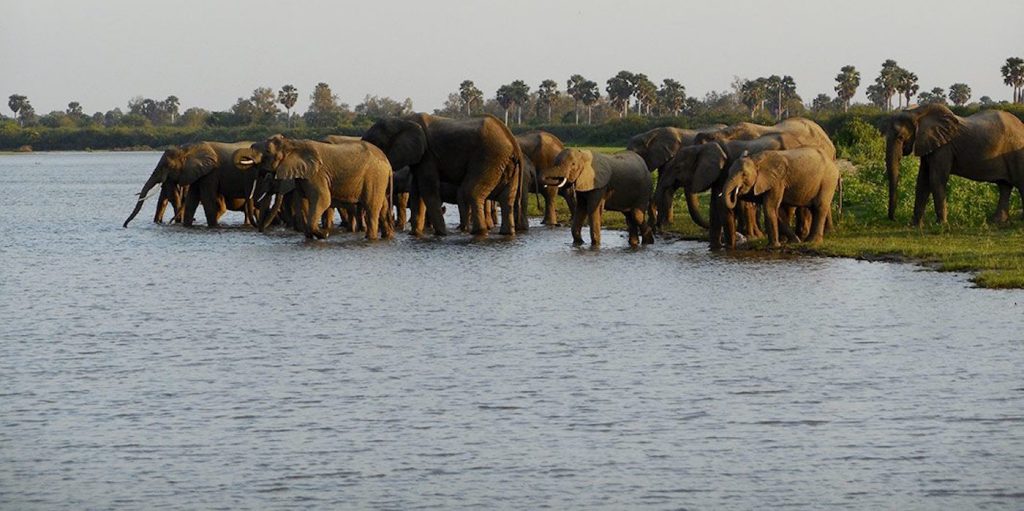 nyerere national park