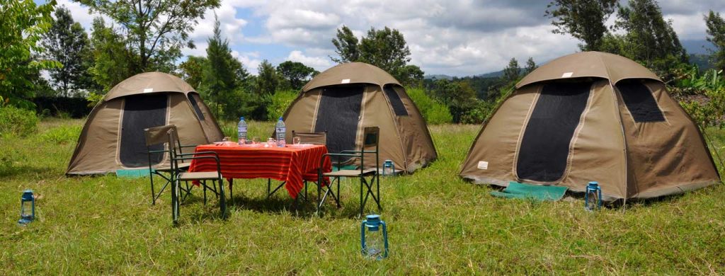 4 DAY TANZANIA CAMPING SAFARI