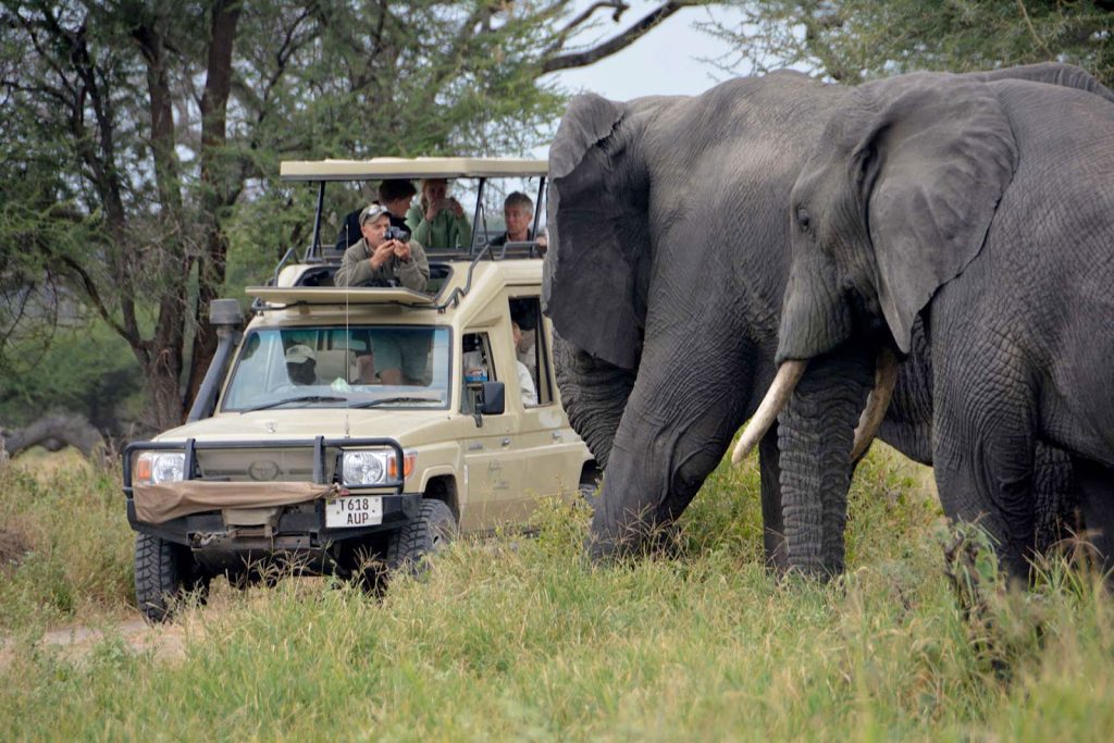 7 days tanzania lodge safari