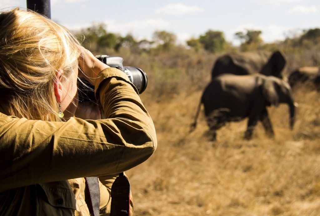 8 Days Tanzania Photographic Safari